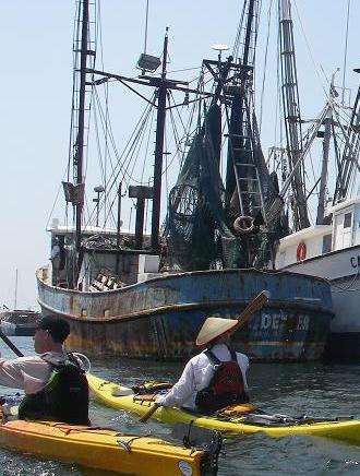 aca-essentials aca-essentials