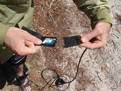 surfboard-strap surfboard-strap