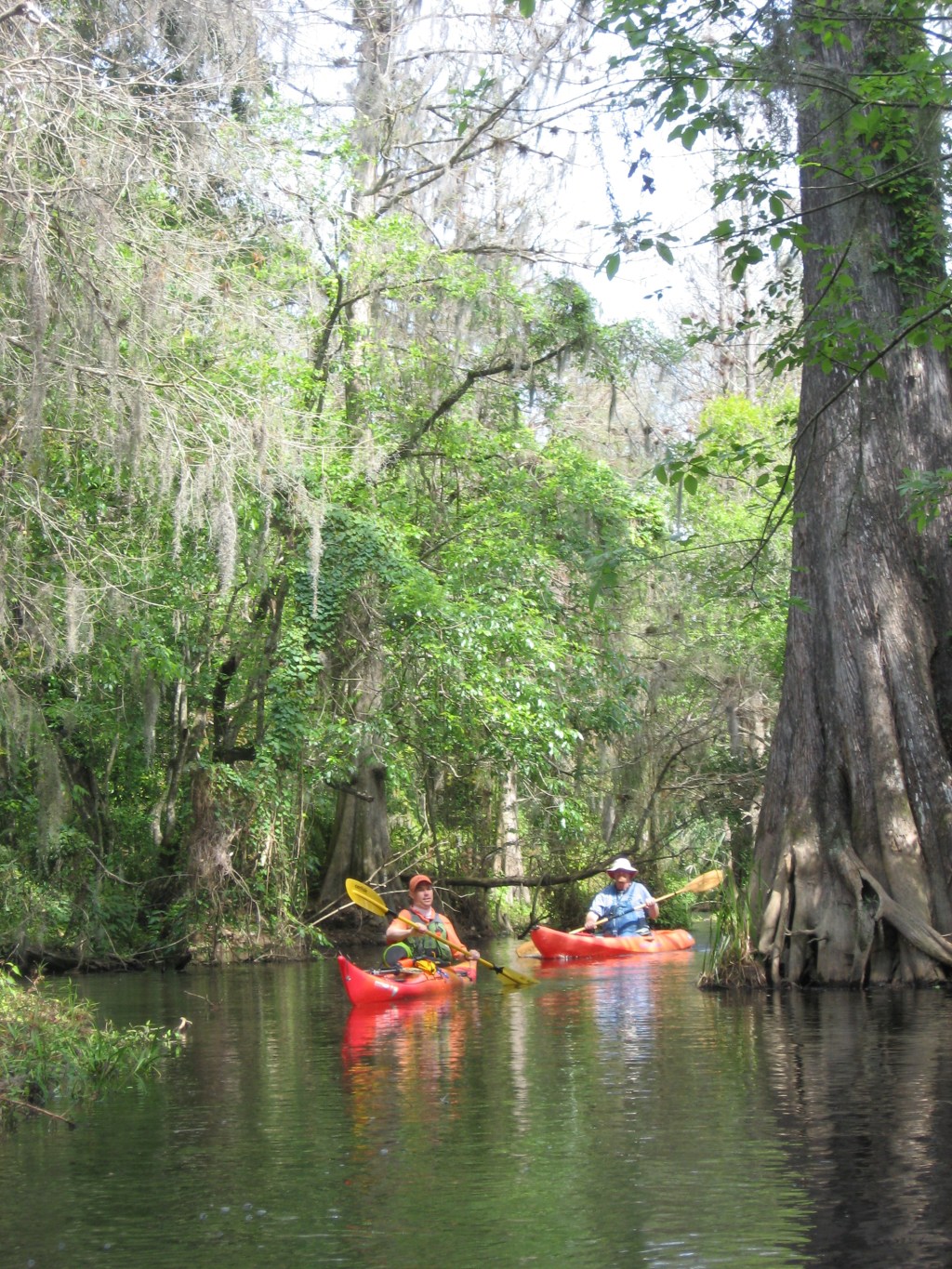 🛶 Arbuckle Creek