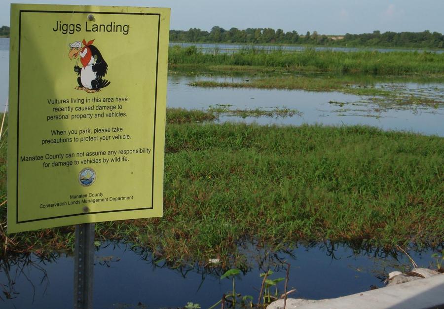 Braden River 19Sept2009 003 Jiggs Landing