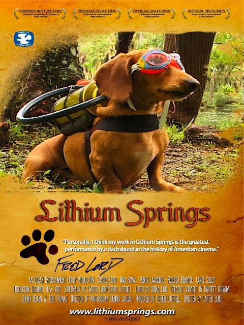 Lithium Springs film artwork