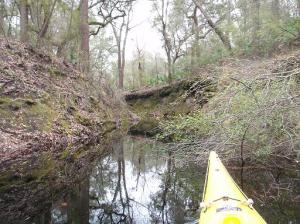 Traveling up the creek