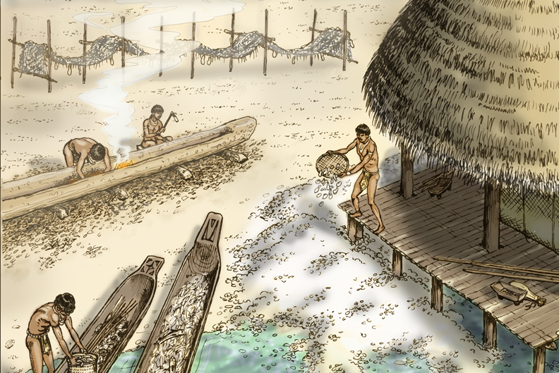 Tribal Tides 1 – “Whats a Calusa?” – Liquid Rhythm Adventures' Journal