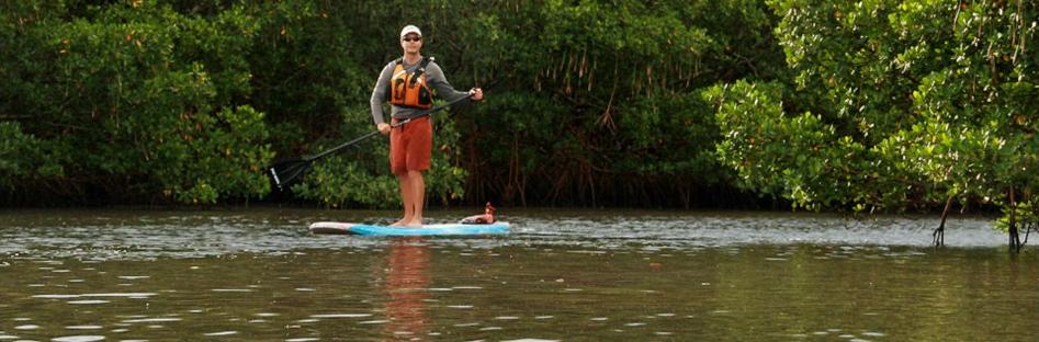 SUP Jeffrey Fabiszewski 2012 Aug 18 Weedon Island Preserve close up
