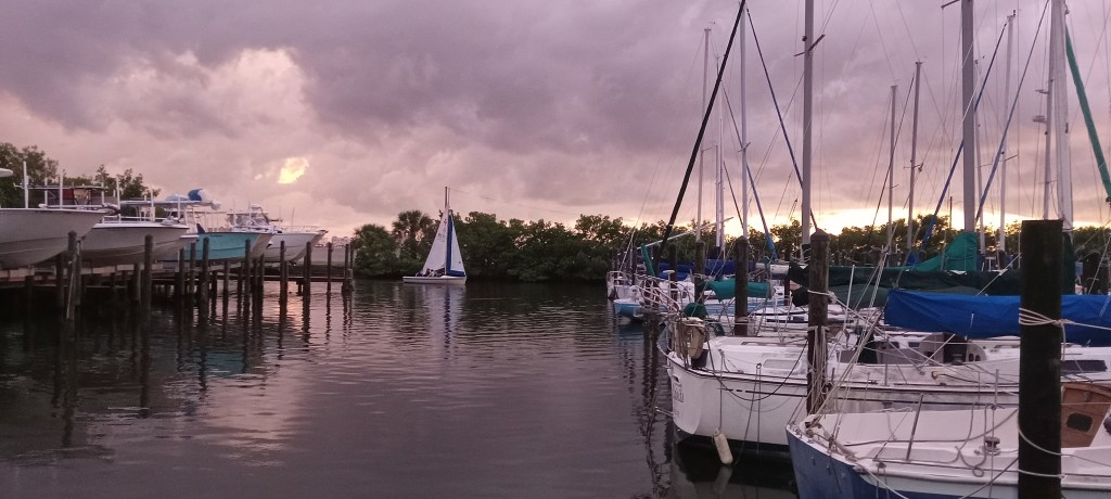 ⛵Charting Confidence: Why Youth Should Dive Into Sea Scouts in Tampa&nbsp;Bay