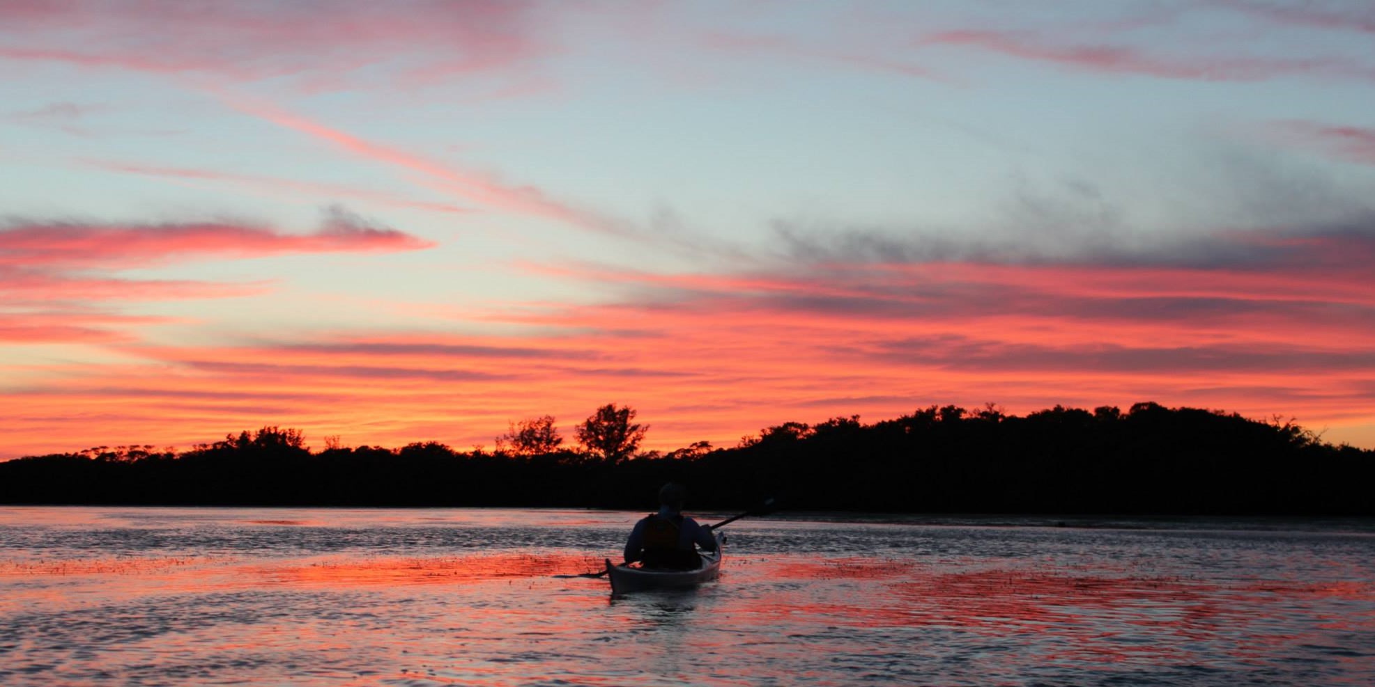 A kayaker at dawn in the mangroves, paddle raised mid-stroke, golden water rippling.