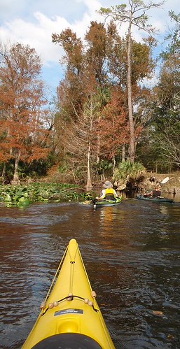 View over a yellow kayak bow toward two paddlers beside a wooded bank on the Ocklawaha River.