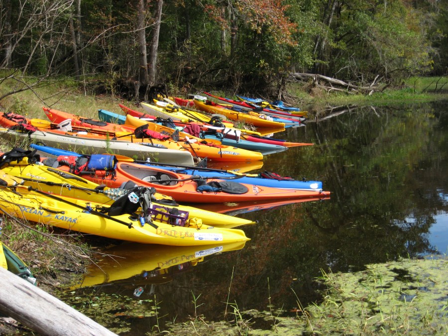 Colorful expedition kayaks loaded with camping equipment line a wooded riverbank beside calm, reflective water.